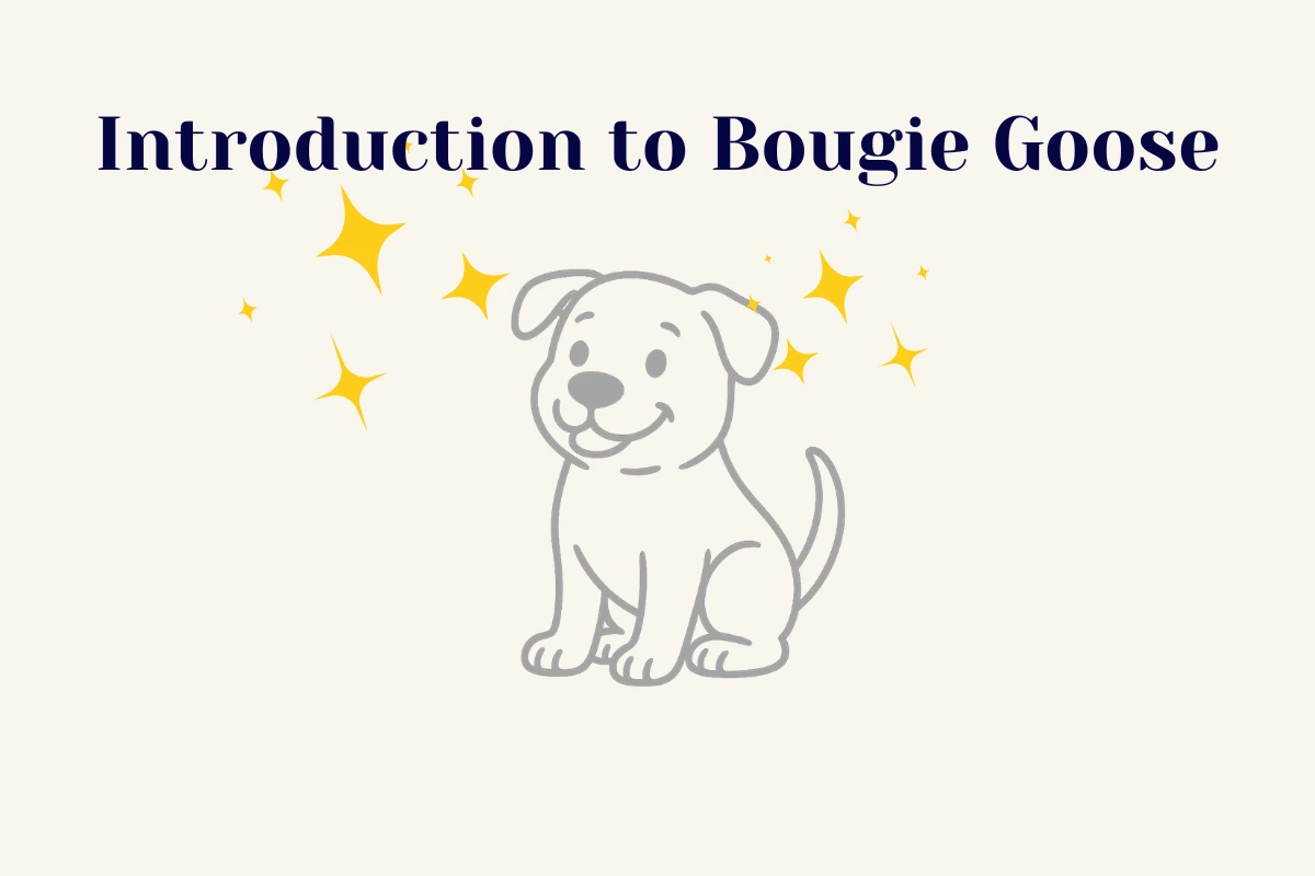 Minimalist fog-gray line art of Bougie Goose the pitbull sitting on a soft cream background, used as the Tiaras In The Wild mascot.